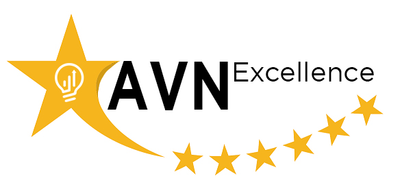 AVN Excellence logo